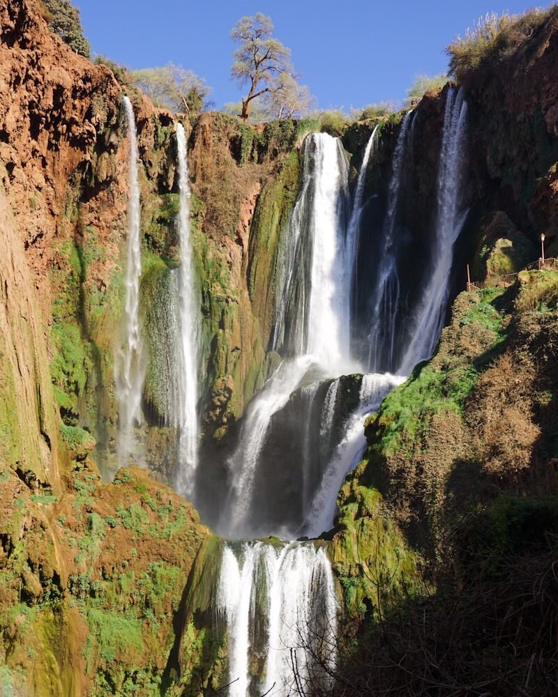 waterfalls in the middle of the forest during daytime