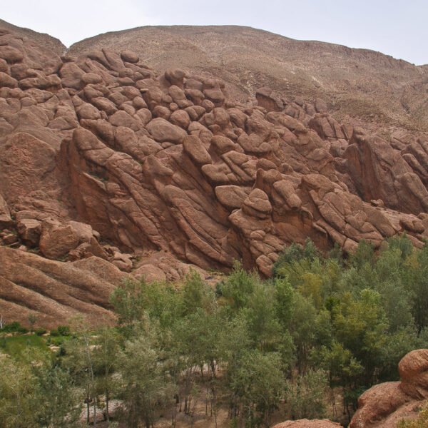 14 días desde Casablanca