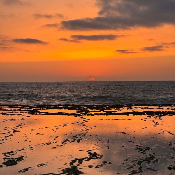 Excursión de un Día a El Oualidia desde Marrakech