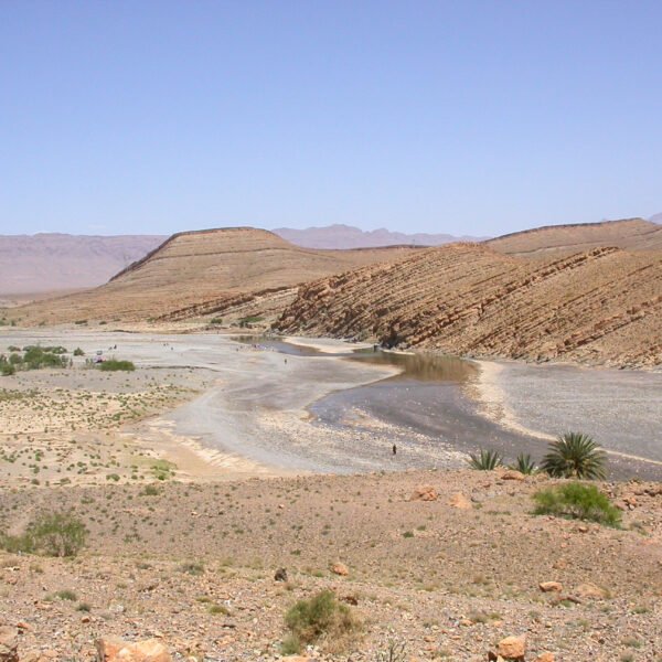 Tour de 7 Días Desde Fez al Desierto y Marrakech