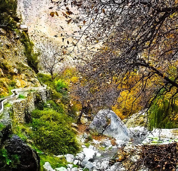 Excursión de un Día al Valle del Ourika desde Marrakech