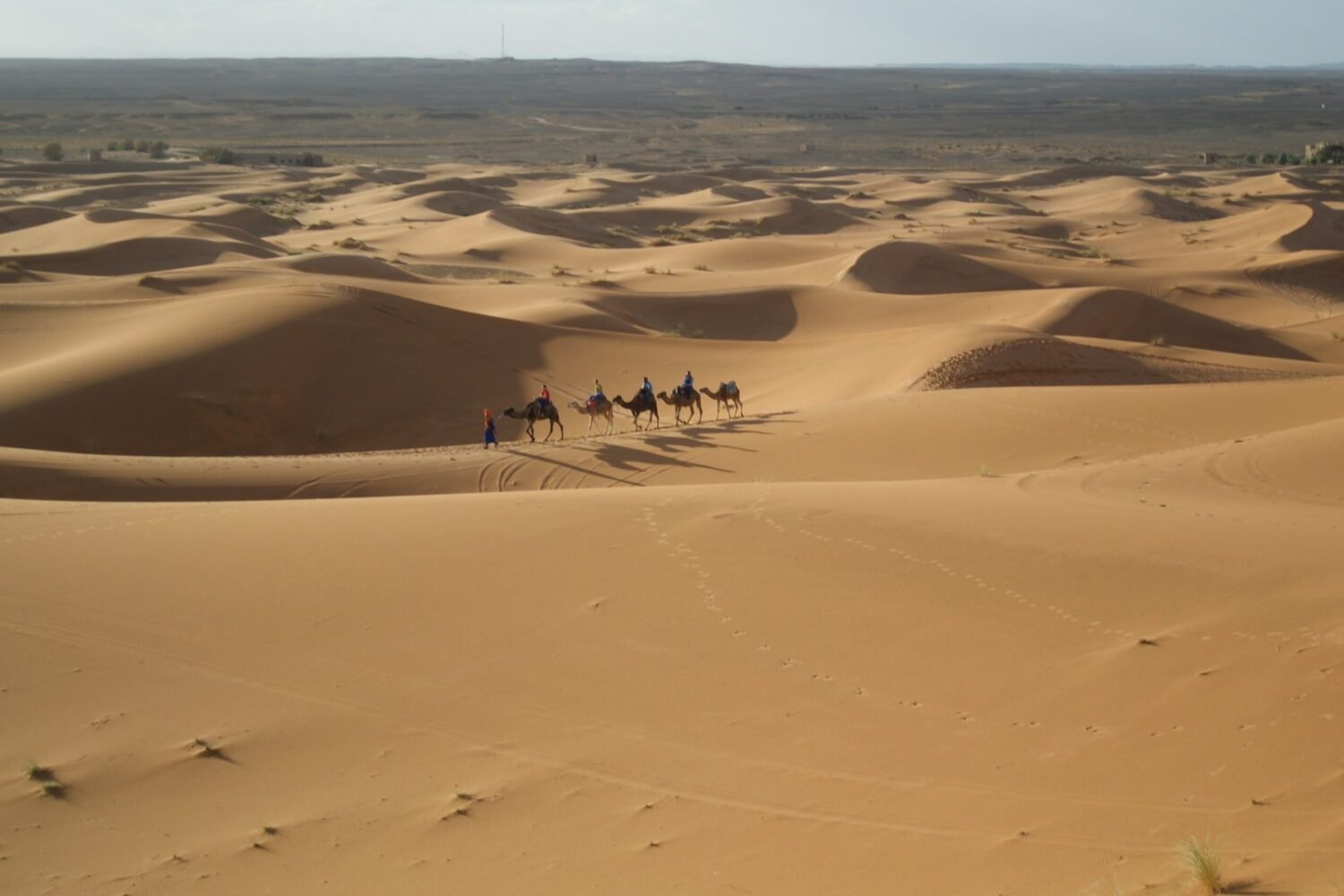 A group of people riding camels across a desert