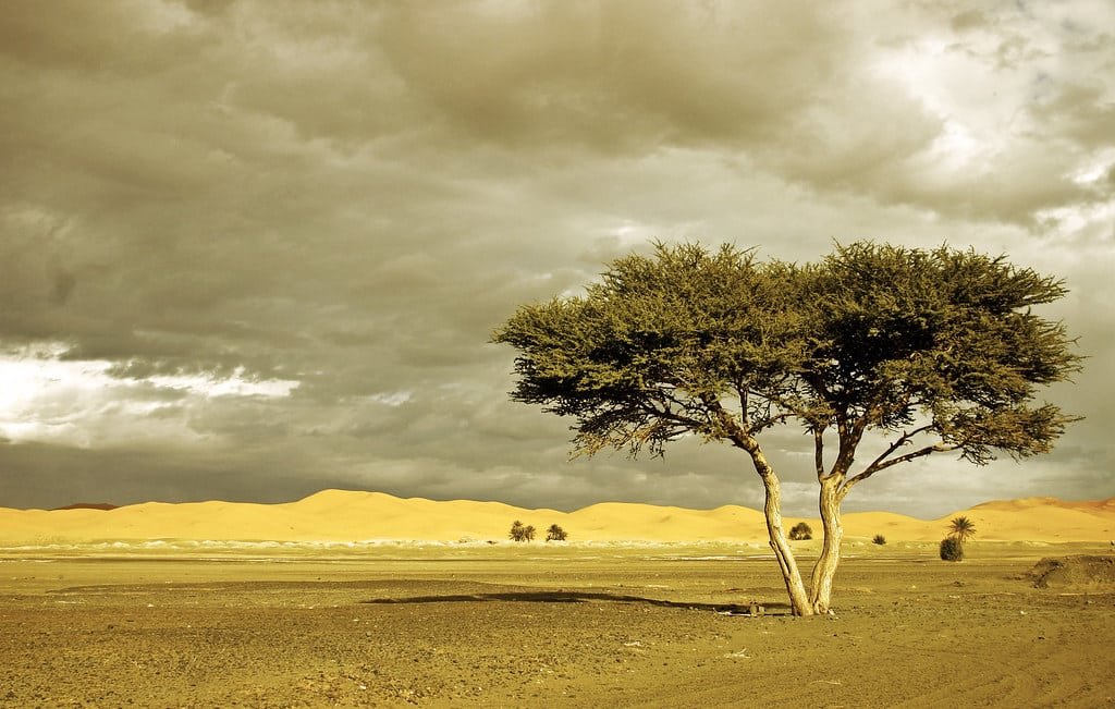 Tour de 5 Días desde Errachidia al Desierto de Merzouga y Tánger