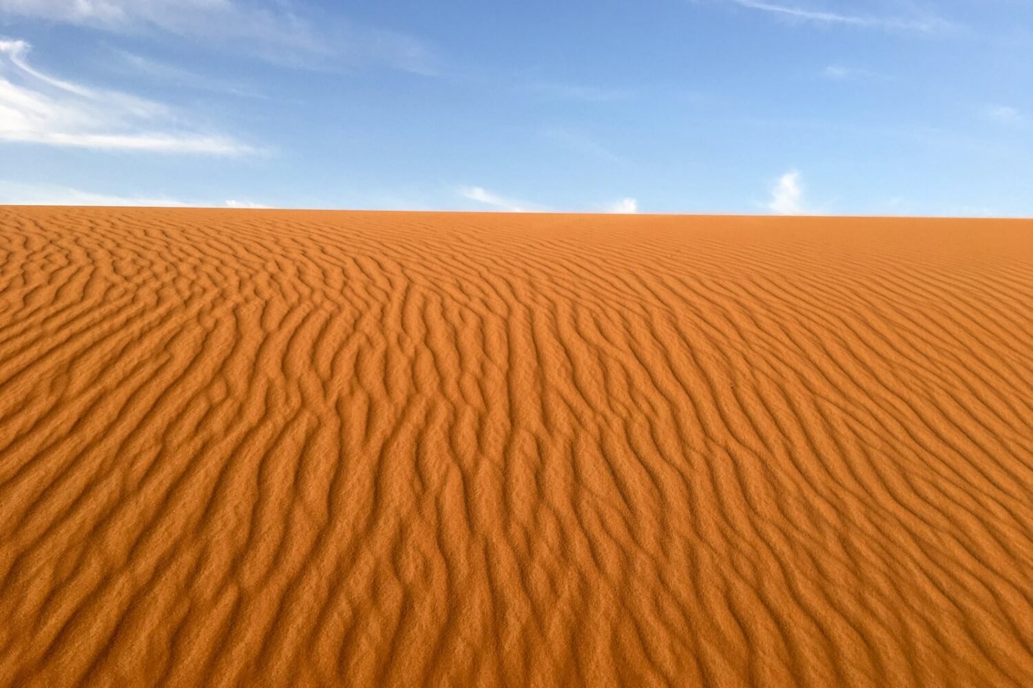 desert under blue sky