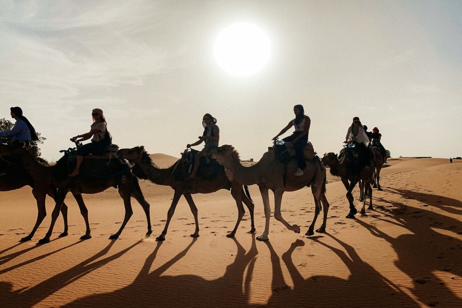 people riding camel on desert during daytime